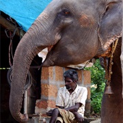 Sahakari Spice Farm, Goa