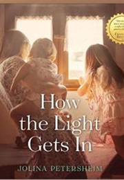 How the Light Gets in (Jolina Petersheim)