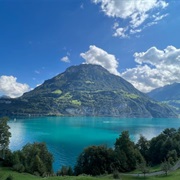 Die Rütliwiese in Seelisburg