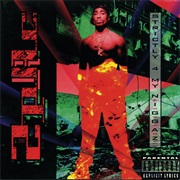 Strictly 4 My N.I.G.G.A.Z. - 2Pac