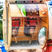 Rolburger (Julianatoren)