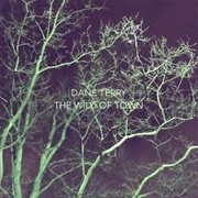 Dane Terry - The Wild of Town