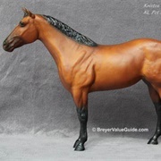 Ideal American Quarter Horse
