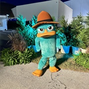 Perry the Platypus