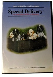 Special Delivery (1994)
