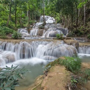 Hauy Tak Teak Biosphere Reserve, Thailand