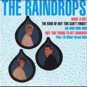 The Raindrops