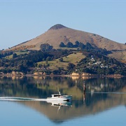 Otago Harbour, Dunedin