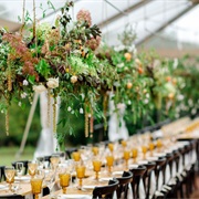Hanging Plants at Wedding