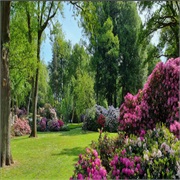 Rhododendron Park Und Botaniker, Bremen