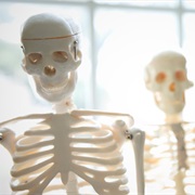 S24.E4: Skeletal Replicas, Ice Buckets & Servers, Dining Chairs, Inground Pools