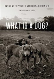 What Is a Dog? (Raymond & Lorna Coppinger)