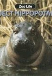 Project Hippopotamus (Zoo Life Series) (Susan Ring)