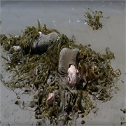 Numb3rs: "Undercurrents" (S2,E23)