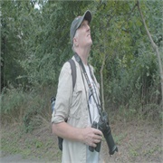 How to With John Wilson: "How to Watch Birds" (S3,E5)