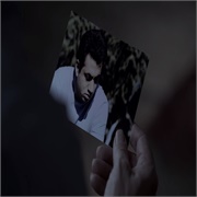 House: "Simple Explanation" (S5,E20)