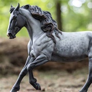 Cantering Mustang Mare