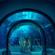 Seaworld® Yas Island