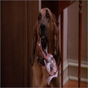 King of Queens: "Ruff Goin' " (S9,E5)