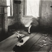 House #3 (Francesca Woodman)