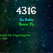 #8489 Buzzin' Fly by Tim Buckley