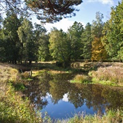 West Polesie Biosphere Reserve (Belarus, Poland & Ukraine)