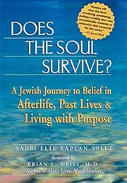 Does the Soul Survive (Spitz)