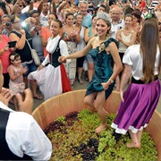 Festa Da Uva, Caxias Do Sul