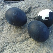 Obsidian Egg