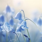 Finding Beauty Everywhere