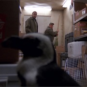 S5.E15: Animal Attraction