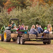 Hayride