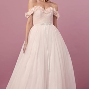 Thin Bow on Waist of Gown