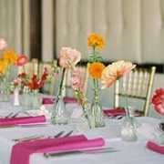Multiple Bud Vases for Table Decor