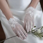 Sheer Gloves With Appliques