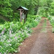 Mink Brook Nature Preserve