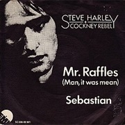 Mr. Raffles  ... Steve Harley and Cockney Rebel