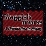 Sluggish Morss: A Delicate Time in History