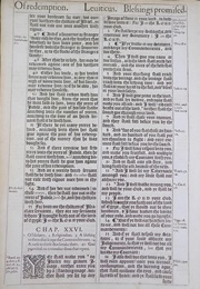 The Book of Leviticus (NIV)