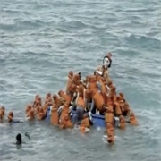 Most Extreme Elimination Challenge: "Green Peace vs. Body Obsessed" (S5,E9)