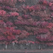 Even in Arcadia - Sleep Token