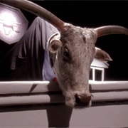 S7.E20: Cattle Court