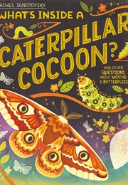 What's Inside a Caterpillar Cocoon? (Rachel Ignotofsky)