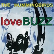 The Hummingbirds - Love BUZZ