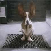 Hush Puppies: "Ventilated Hush Puppies"