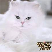 Fancy Feast Aladdin