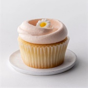 Magnolia Bakery Cupcake
