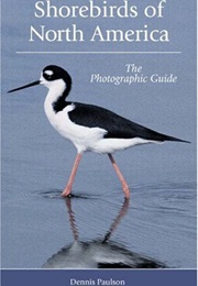Shorebirds of North America: The Photographic Guide (Dennis Paulson)