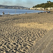 Alki Beach (Seattle, WA)