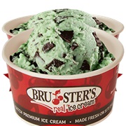 Non Dairy Mint Chocolate Chip